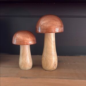 Wooden Mushroom Decor Set